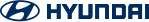 Rahul Karnal Hyundai